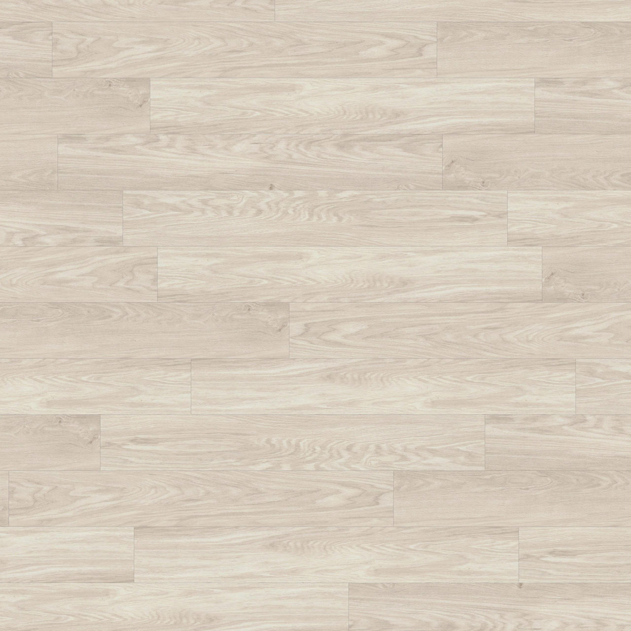 ❶ホワイトサポテ接木　マクディル耐寒性 Campbell Creek Smooth HW669 01032 | Shaw Builder Flooring